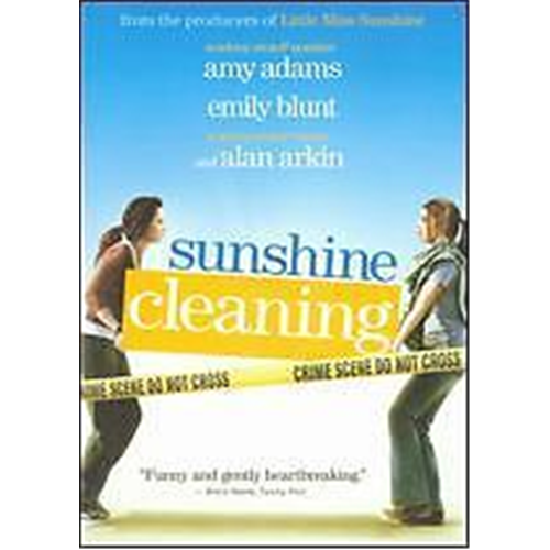 Sunshine Cleaning DVD