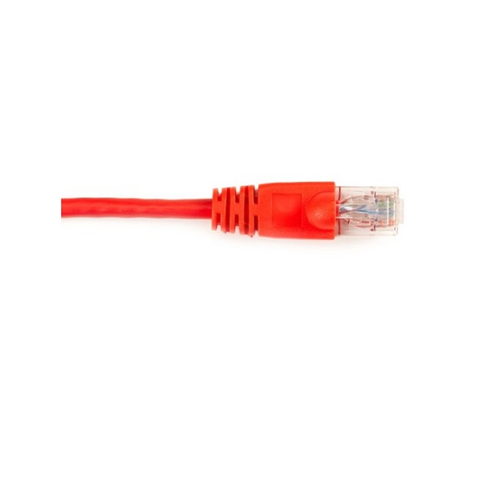 Black Box CAT6 Value Line Patch Cable 1'