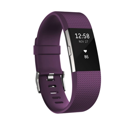 FitBit Charge 2 Silver Plum Large
