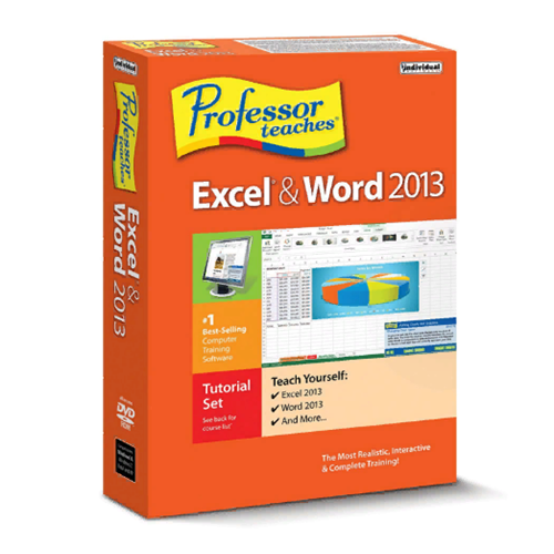 Professor Teaches Excel and Word 2013