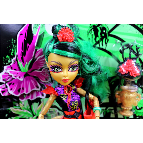 Monster High Gloom & Bloom Jinafire Long