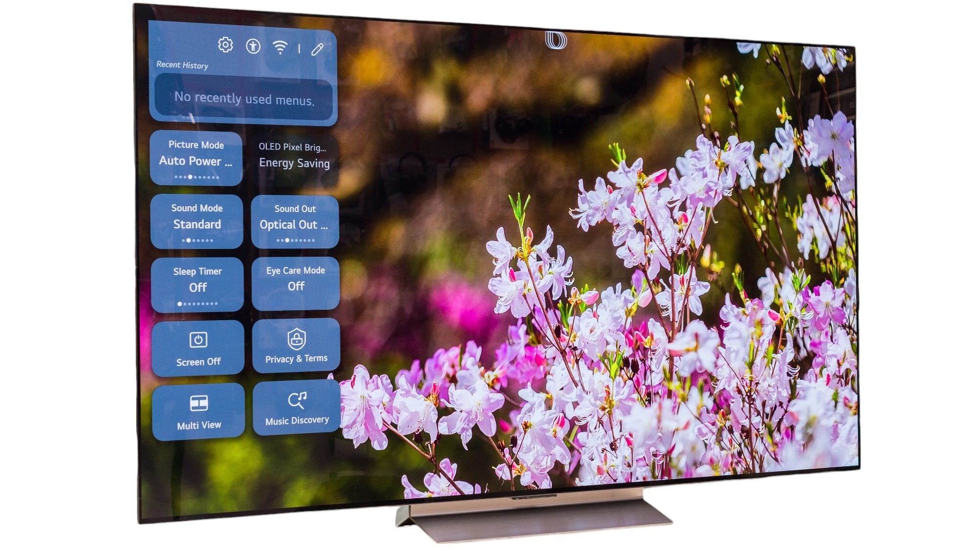LG 65 inch Class LG OLED evo C4 4K Smart TV OLED65C4PUA