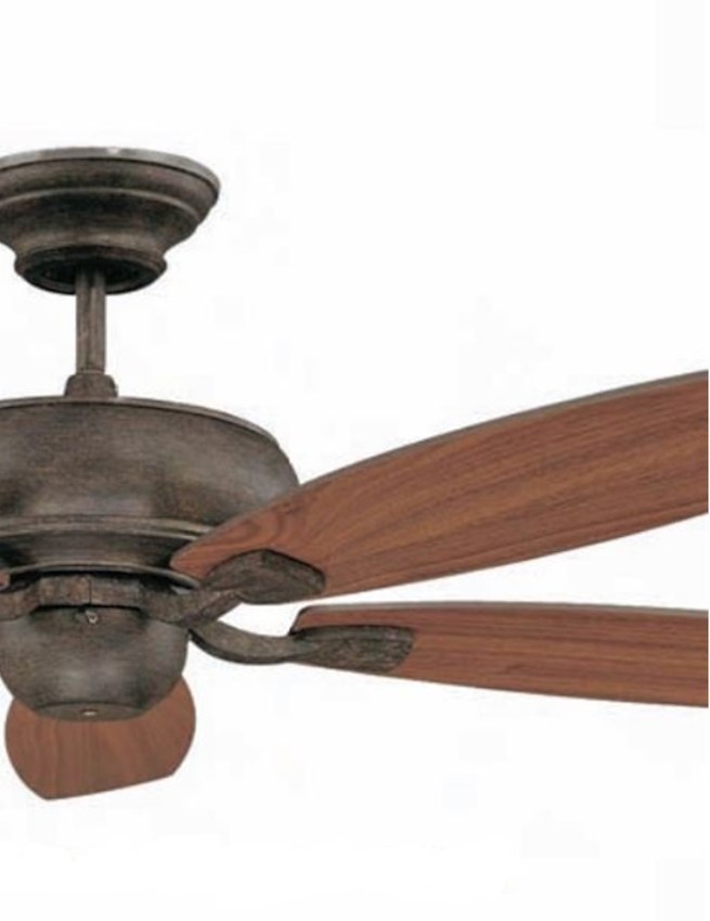 Luminance Ceiling Fan Blades Roosevelt Indoor 21.5" Ceiling Fan Blades Set Finish: Light / Dark Oak Set of 5 PB-2152-DW