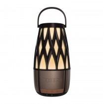 Ion Tahiti Speaker Bronze Single