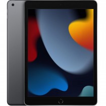 10.2-INCH IPAD WI-FI 256GB - SPACE GRAY