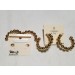 CROWN & IVY GOLD HOOP EARRING