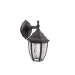 11IN H 9W 500LM 4000K LED PORCH LANTERN