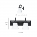 2LT-100W MB VANITY FRSTD SQUARE MILK GLS