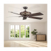 60 IN ARACRUZ FAN ORB WITH LED BULBS