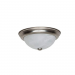 2LT 11-1/4IN FLUSH FIX ALBTR GLS SN COLO
