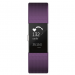 Fitbit Charge2 Activity Trcr Small PLUM