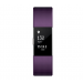 Fitbit Charge2 Activity Trcr Large PLUM