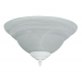 2LT ALABASTER GLS BOWLFAN KIT