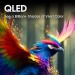 HISENSE 50" QD5 QLED 4K GOOGLE TV