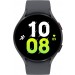 GW5 44mm Graphite w 2 chargers