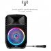 ION TOTAL PA SPARTAN SPEAKER