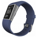 Fitbit Surge Blue Small 