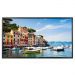 LG 55WL30MS-D 55in 1920x1080 Monitor 