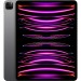 IPAD PRO 12.9 6TH GEN WIFI 256GB GRAY