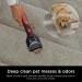 Shark CarpetXpert Vac