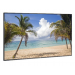 NEC E425 42" LED LCD
