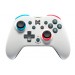 NINTEDO SWITCHPLATE WIRELESS CONTROLLER