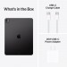 IPAD PRO 13" 256GB WIFI STD GLASS