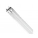 4 ft. T8 LED Tube 2100 Lumens 15W 4100K