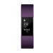 FitBit Charge 2 Silver Plum Large