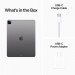 IPAD PRO 12.9 6TH GEN WIFI 256GB GRAY