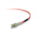 Belkin Fiber Optic 250ft Patch Cable