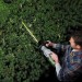 EGO Cordless Hedge Trimmer Brushless Kit