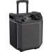 ION HIGHLANDER SPEAKER