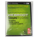 Webroot Internet Security Plus 2013
