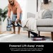 SHARK AZ3002 STRATOS UPRIGHT VAC