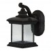 11-1/5INH LED PORCH LANTERN 9W DOB 450LM