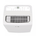 Hisense 100-Pint w/ pump