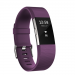 Fitbit Charge2 Activity Trcr Small PLUM