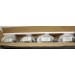 4LT 13W GU24 STANTON VANITY
