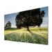 LG 55WV70MS-B 55in 1920x1080 LED Monitor 