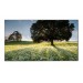 LG 55WV70MS-B 55in 1920x1080 LED Monitor 