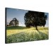 LG 55WV70MS-B 55in 1920x1080 LED Monitor 