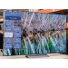 LG 55" C3 OLED Evo 4K UHD Smart webOS 23 w/ ThinQ AI TV OLED55C3AUA