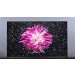 SONY 75" MINI LED SMART TV