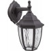 11IN H 9W 500LM 4000K LED PORCH LANTERN